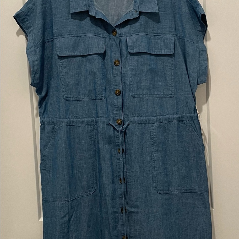 Time and Tru Blue Button-Down Dress